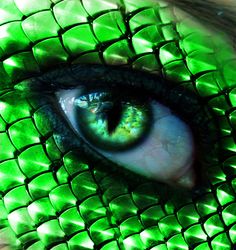 Snake Green Eyes